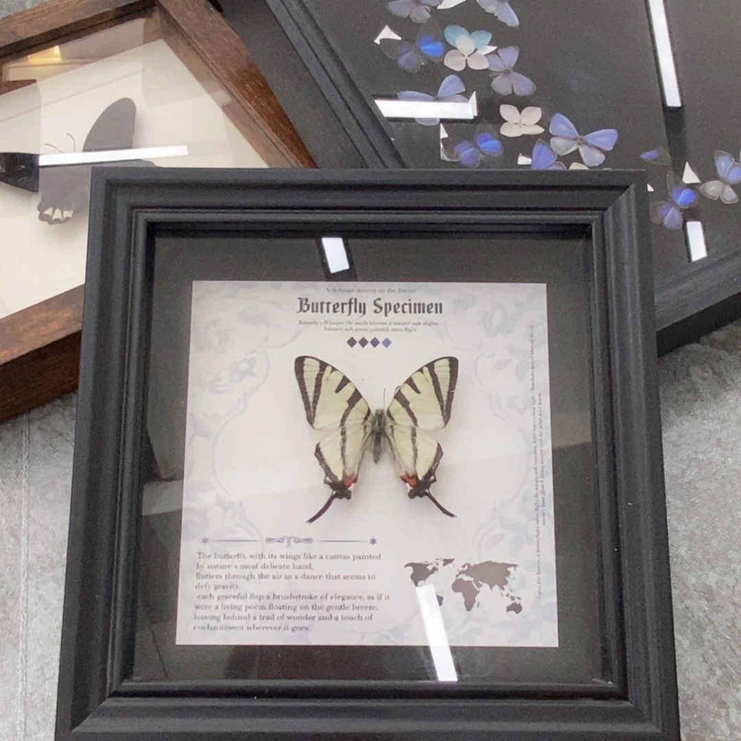 铝合金双层款蝴蝶相框