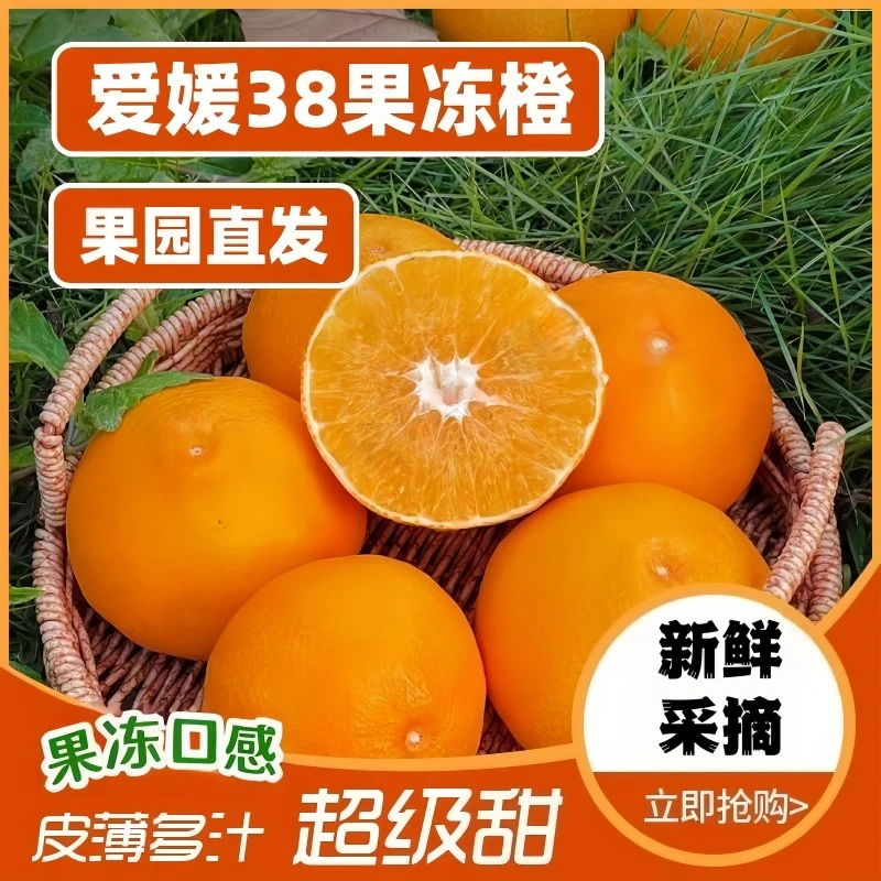【爆甜多汁】新鲜采摘四川爱媛果冻橙产地直供果肉饱满入口清甜