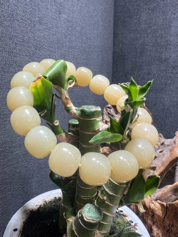 新疆和田玉且末糖手串12*13mm