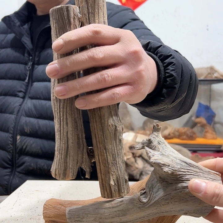 柏木快*我们的生活也是如此