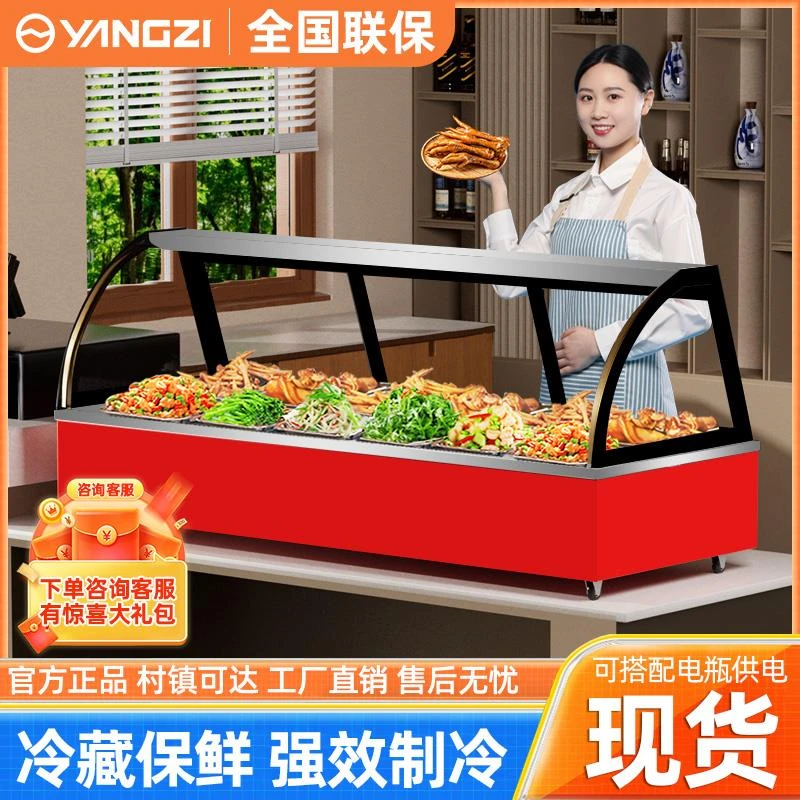 三轮车移动摆摊冷藏冷冻凉菜展示柜烧烤熟食炸串卤菜保鲜台式冷柜
