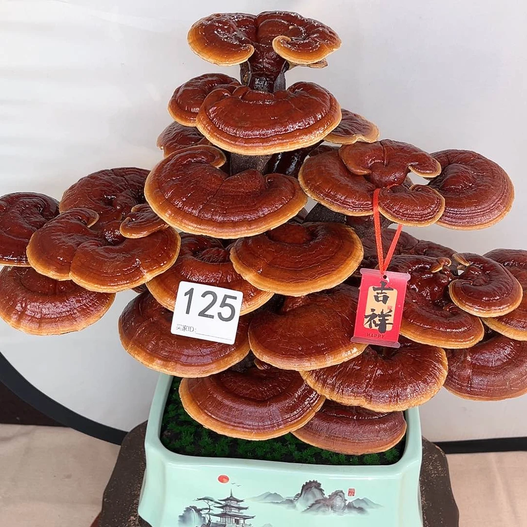 万事如意88888125