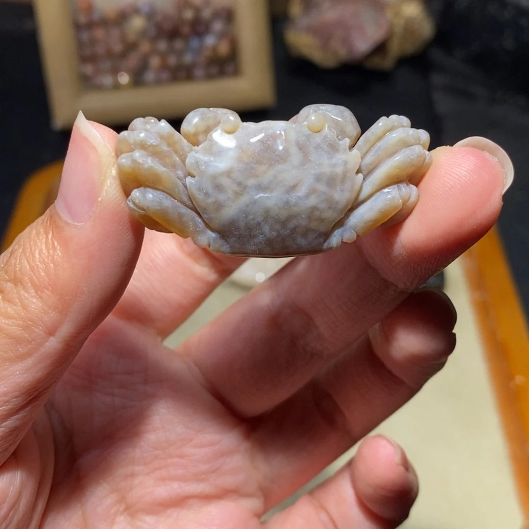【闪购商品】硅化玉珊瑚玉未镶嵌