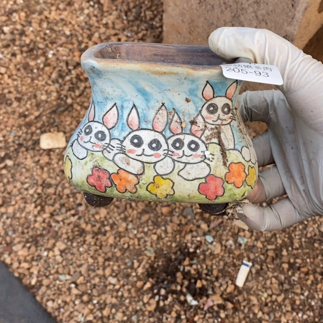 亚*93号的人盆一个呀