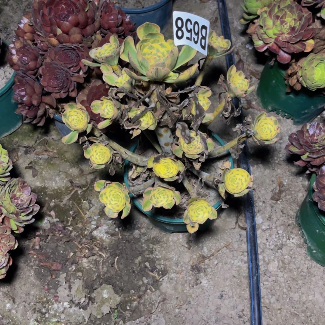 保时捷28/-45包邮