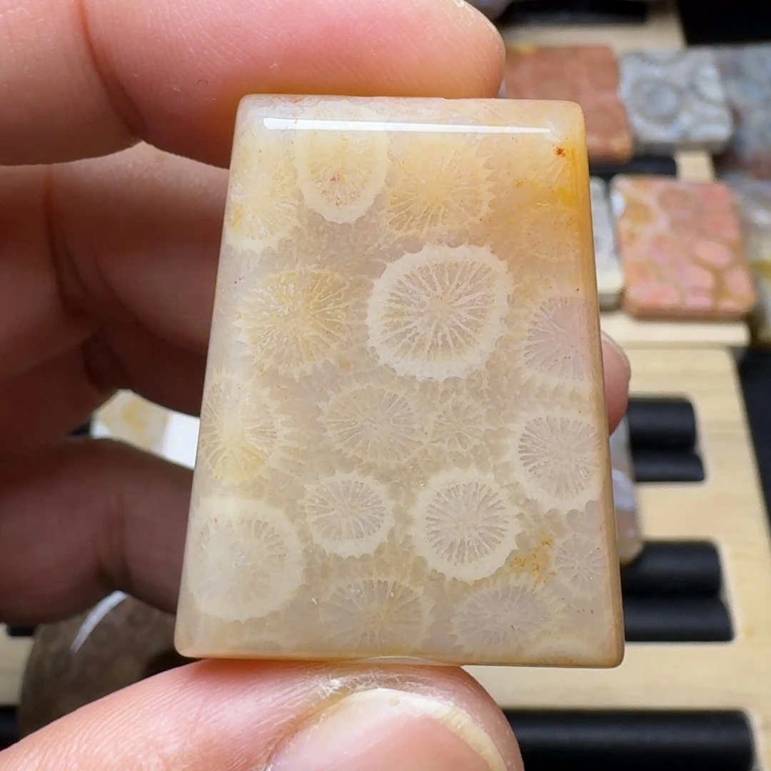 硅化玉未镶嵌纯天然色有机玉石保真色