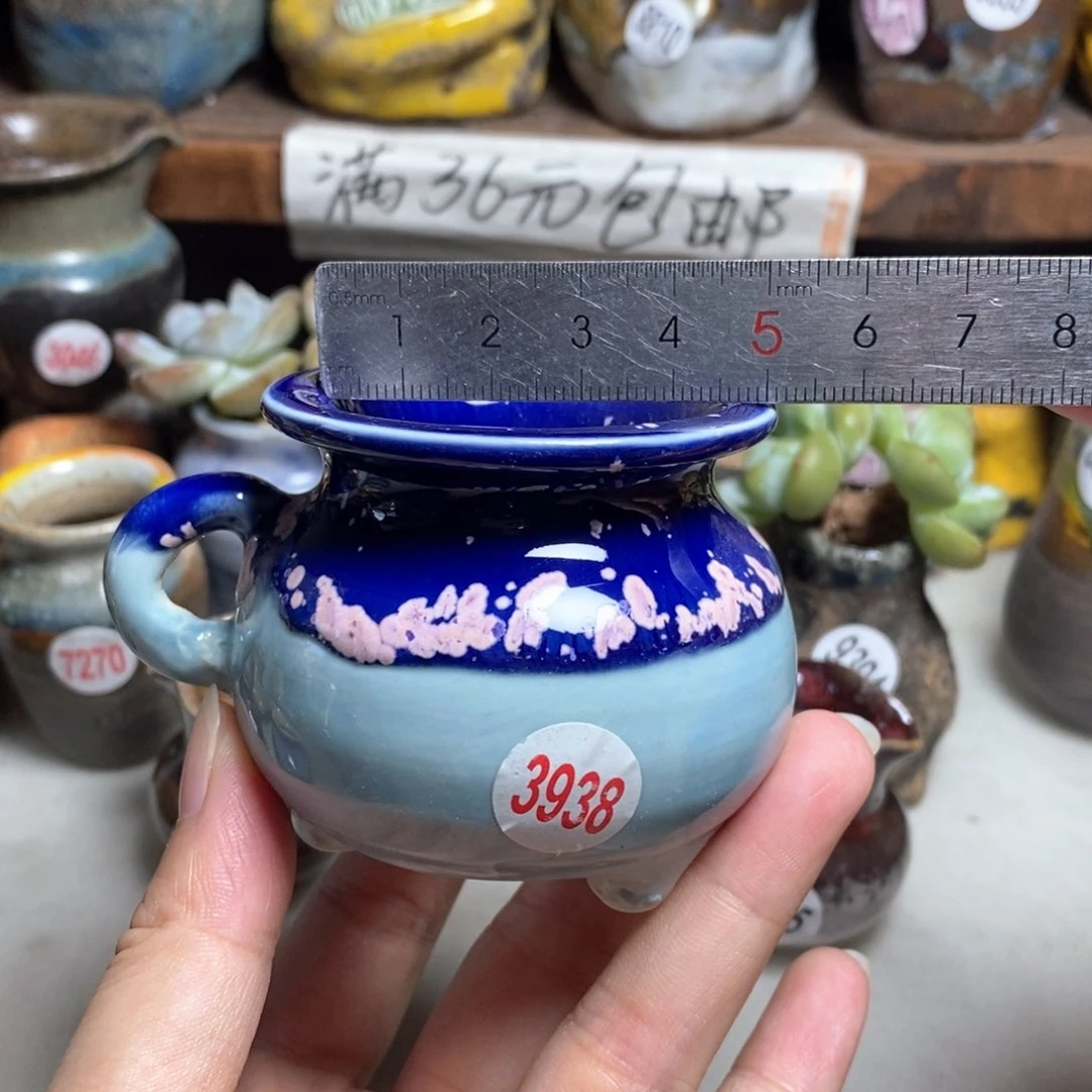拍5送一个小礼物