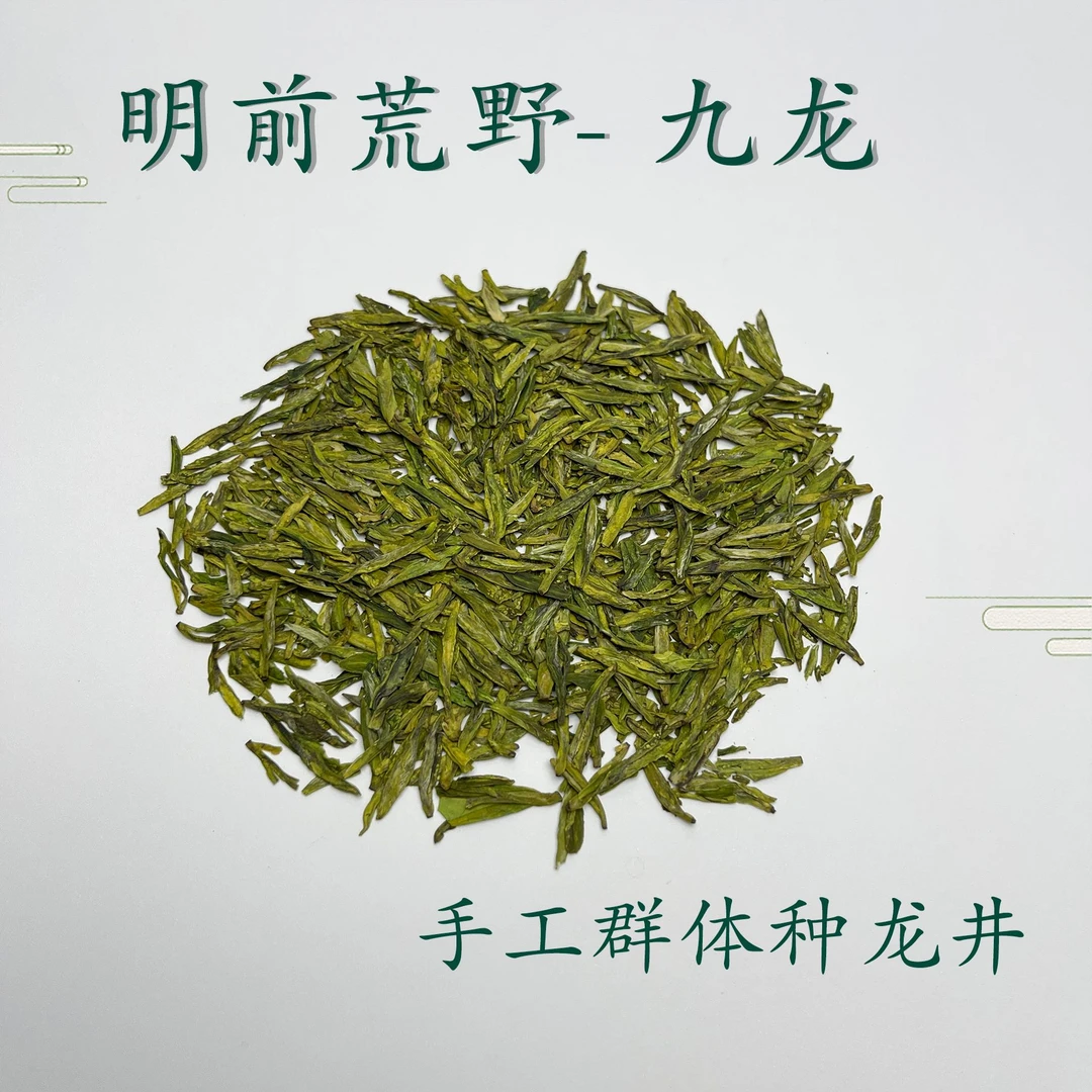【九龙】手工群体种龙井-遂昌高山乱石生长-有试喝装上市拆封不可退