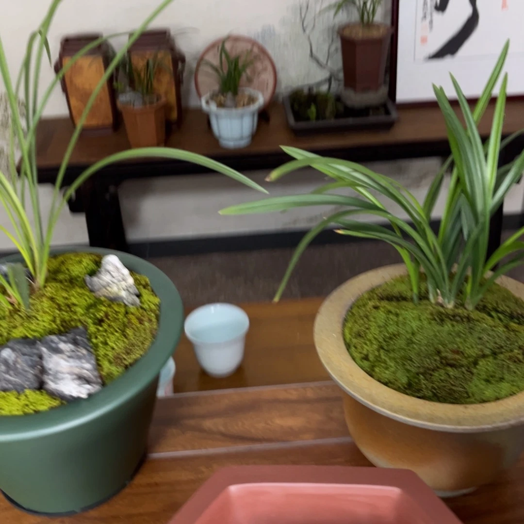 紫砂欢*·高温正宗手工花盆