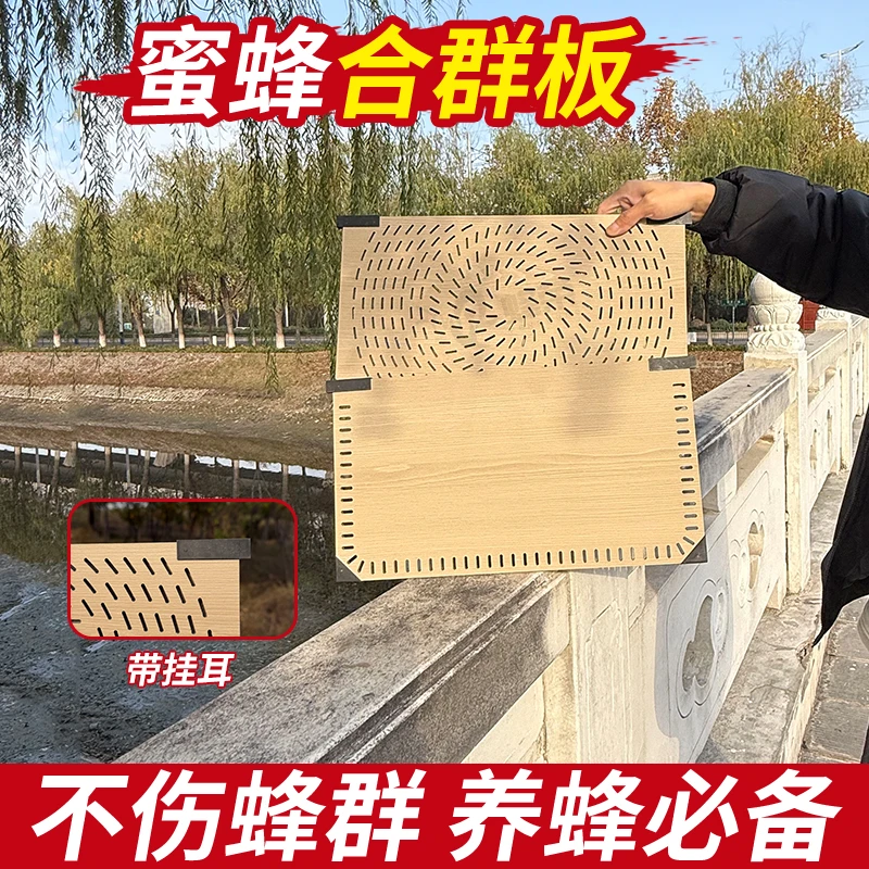 蜂荣新款蜂箱合群板蜜蜂合群器快速隔板有效合并蜂群专用养蜂工具