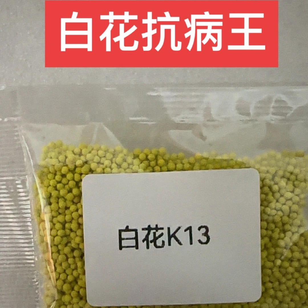 白花K13、抗病王k326升级