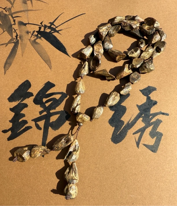 【锦绣】沉香绿奇楠沉水树丁料多圈60克，多样性发货，发一条