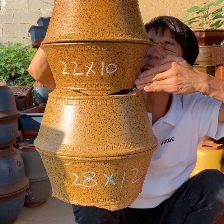 紫砂紫砂紫砂紫砂