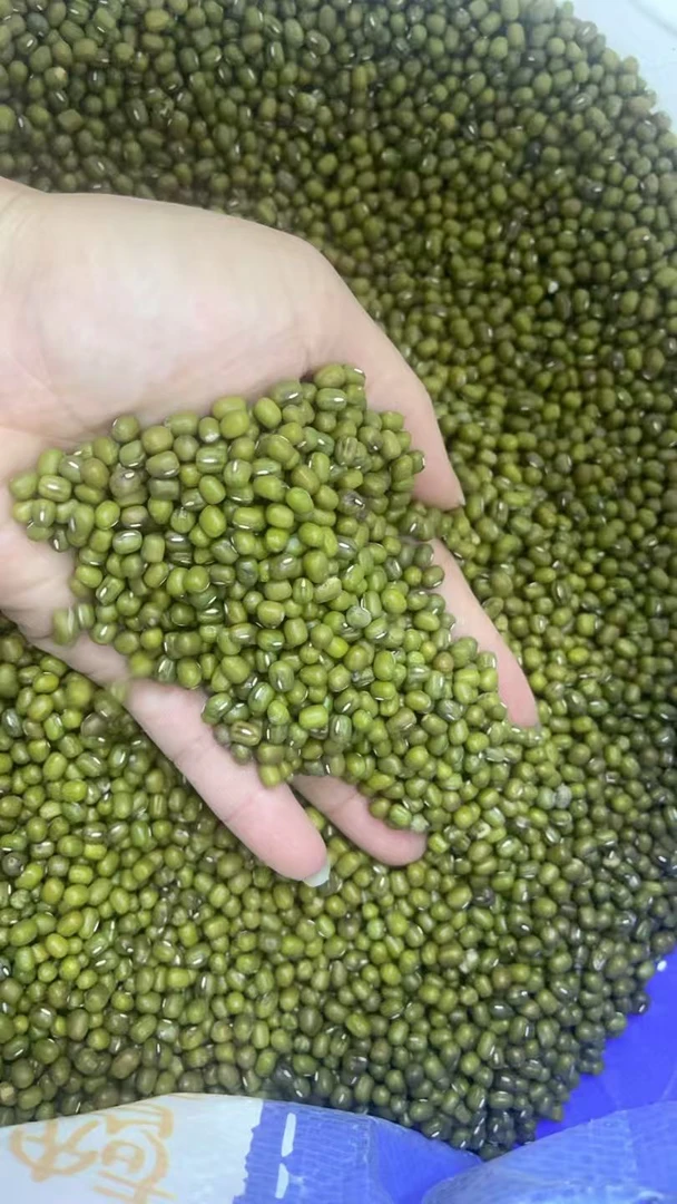 绿豆  正宗农家小绿豆皮薄多沙适合煮粥