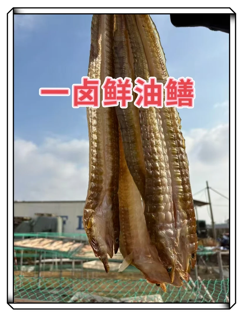 山东荣成一卤鲜油鳝鱼（四成干左右）冷冻保存