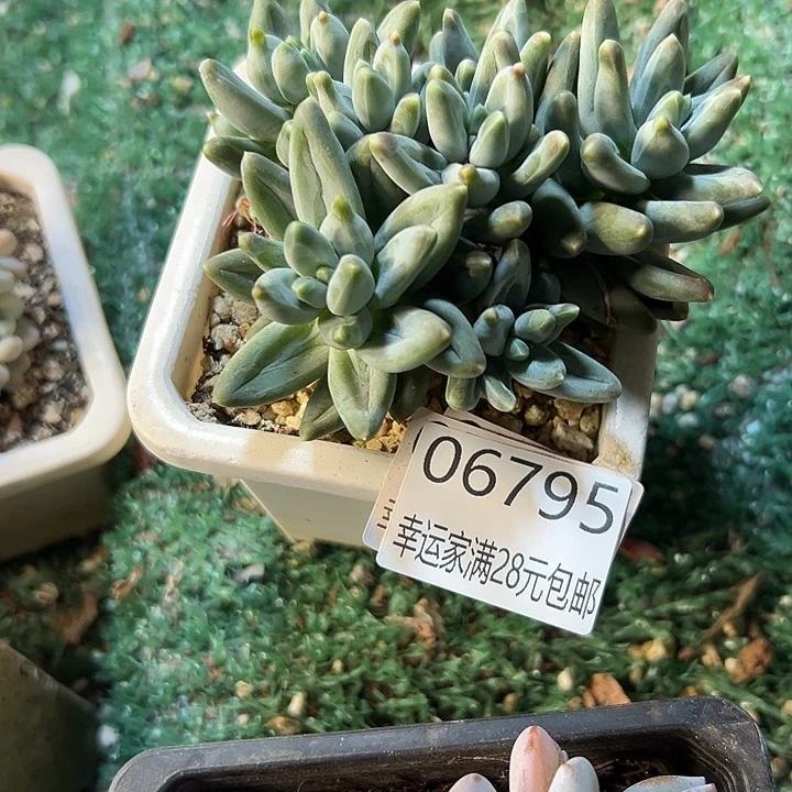 幸运的是我还没遇到过