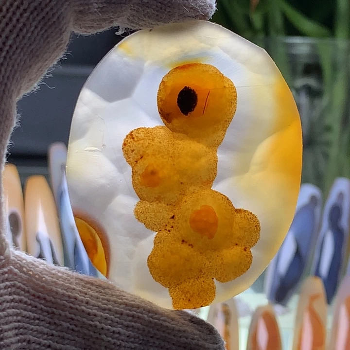 未镶嵌颈饰玛瑙/玉髓88