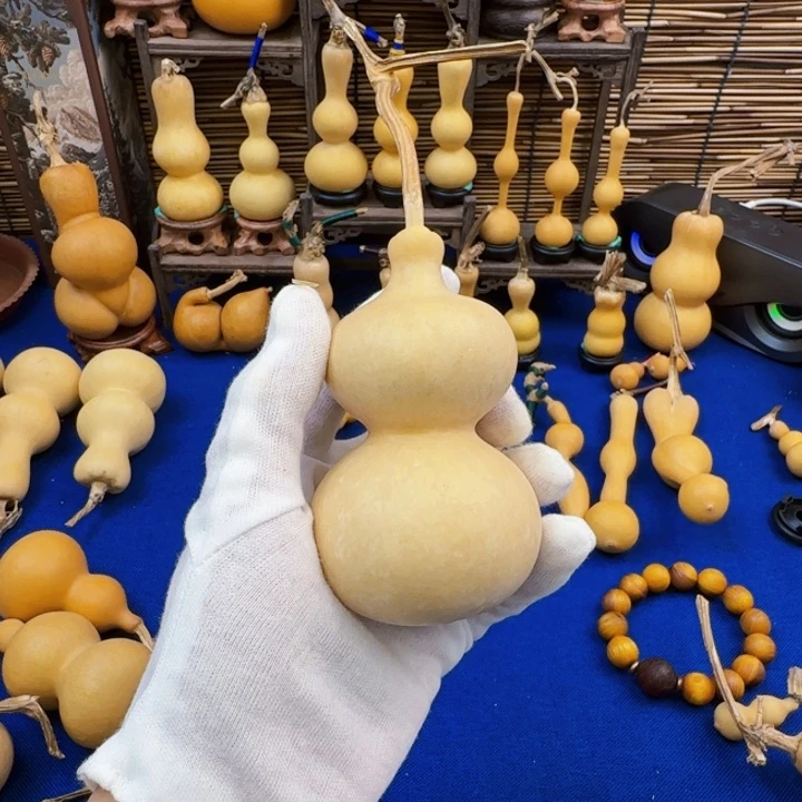 ****.行政执法监督部门依法进行