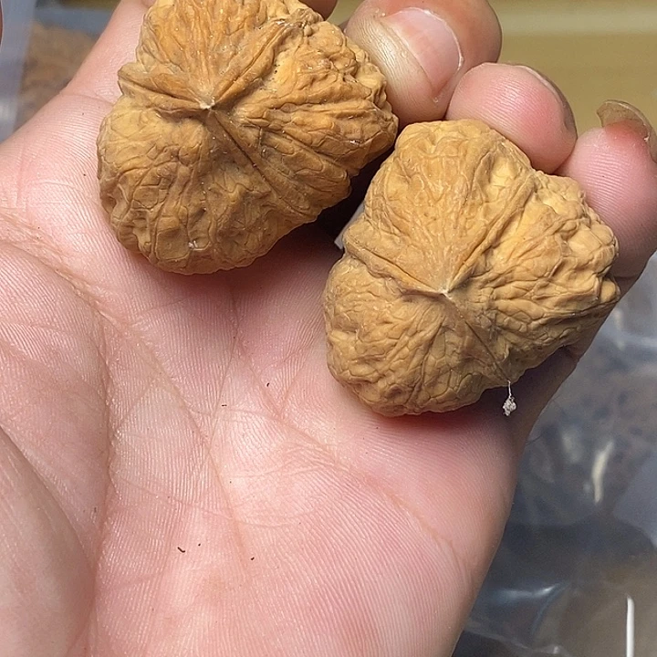 文玩核桃把件云南铁核桃86