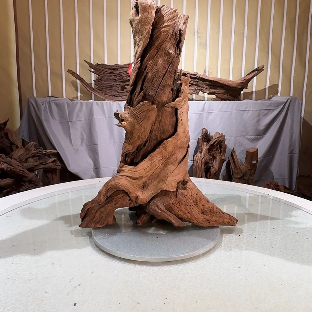 無***'香榧木一物一拍鱼缸造景