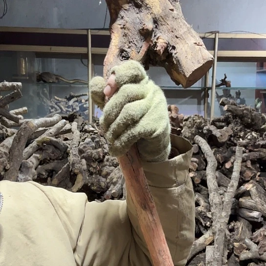 香榧木真*火琉璃的毛料摆件