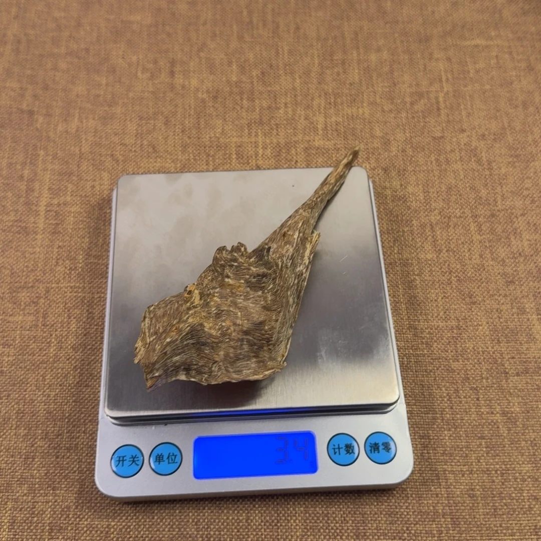 海南壳子3.4克多样性发一