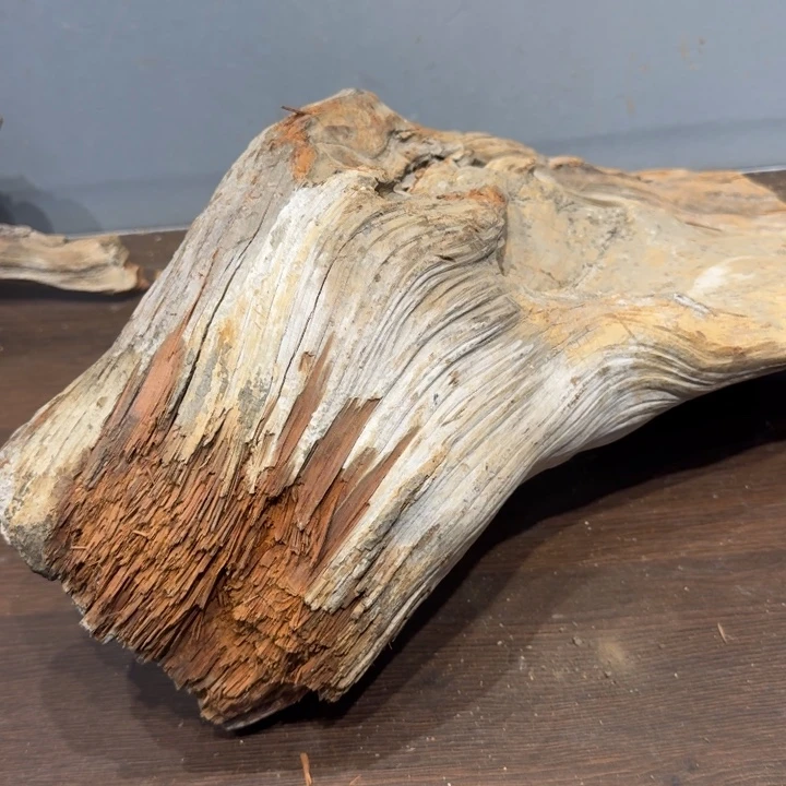 柏木非**柏是睡觉就睡觉睡觉睡觉