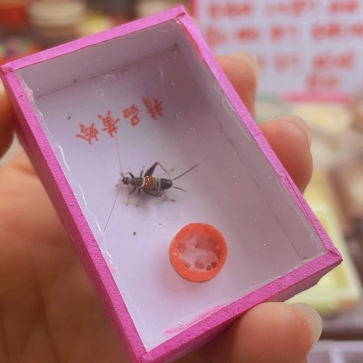 n***g微瑕山仙2啊啊啊啊啊啊