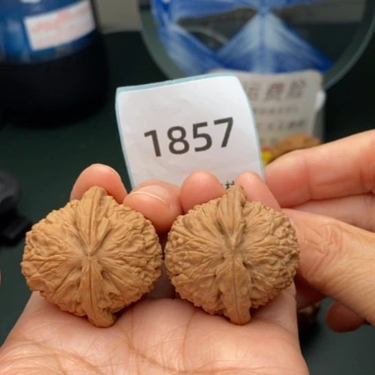 文玩核桃把件36闷白1857