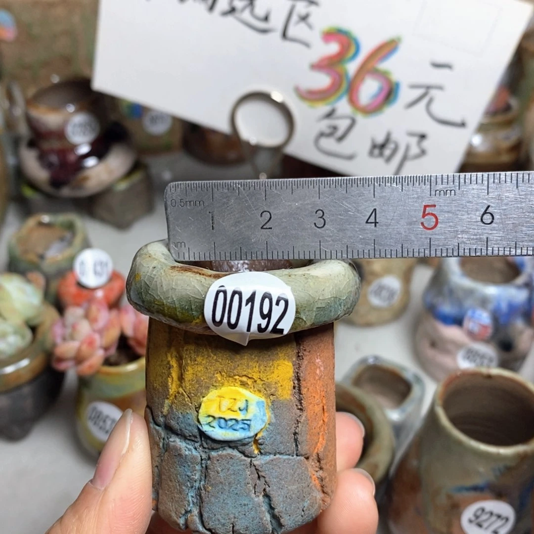 花盆拍3送一个小礼物