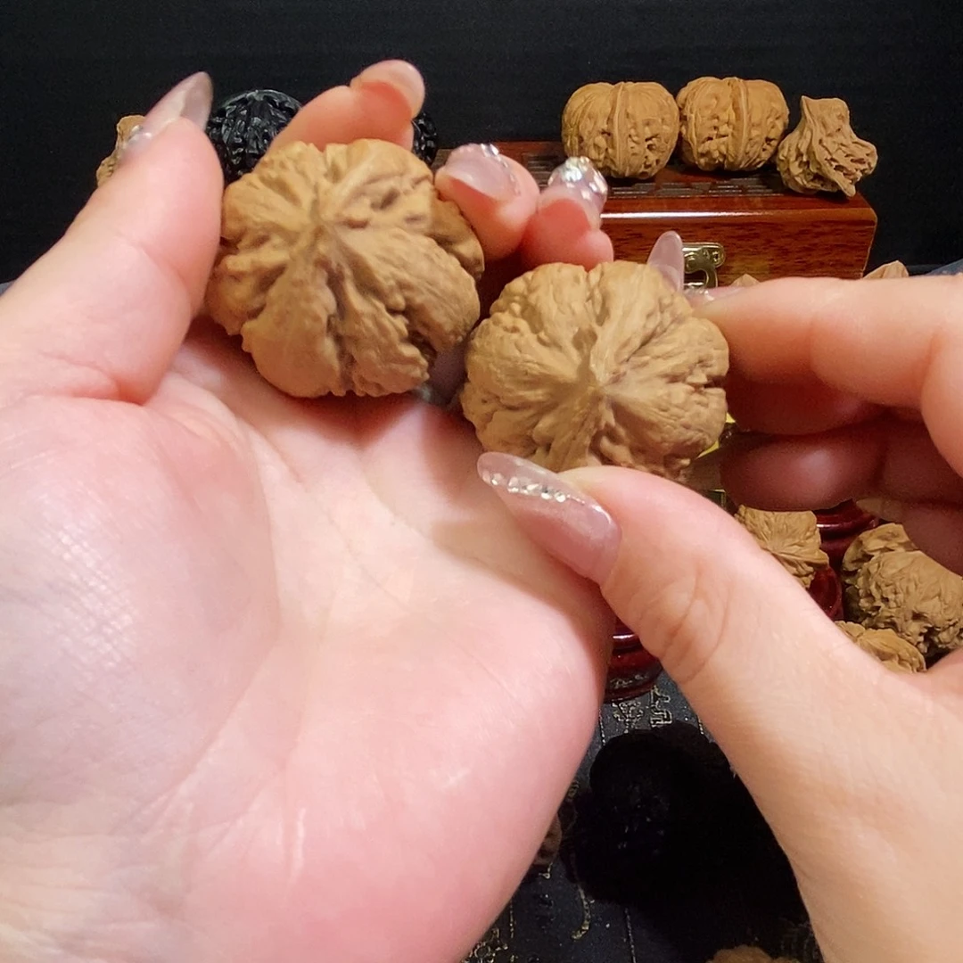 浪***子核桃全品无修霸王龙