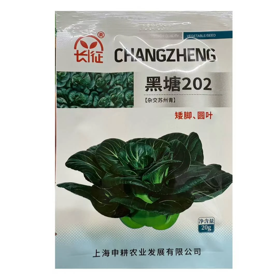 苏州青菜籽高产抗病较耐寒口感好优质蔬菜种子