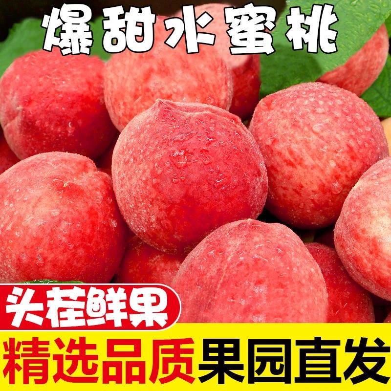 A湖北现摘春雪水蜜桃新鲜多汁脆甜可口胭脂红桃当季水果非血桃