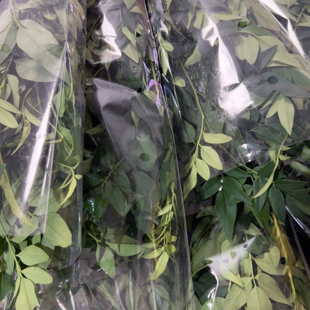 九星叶3扎包邮秒杀价