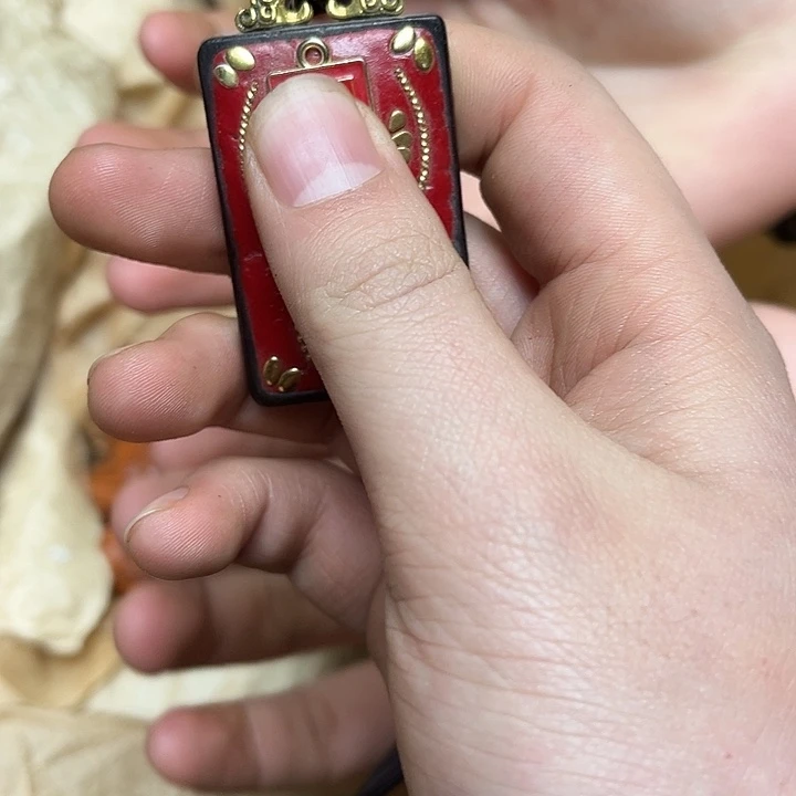 大叶紫檀（黑酸枝木类）