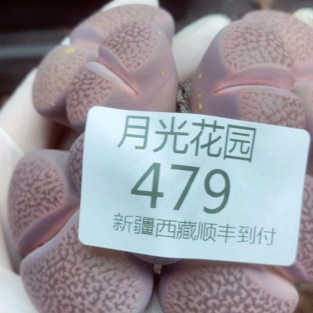 芥**辣我还能去不呀么的呢479