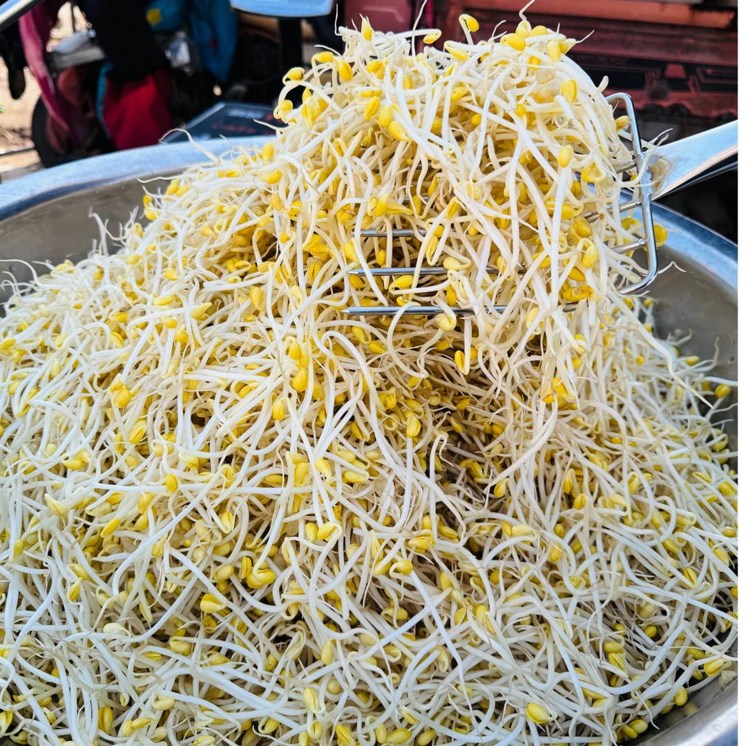 【于婷婷大集精选】本地小黄豆芽绿豆芽茶豆芽青豆苗农家