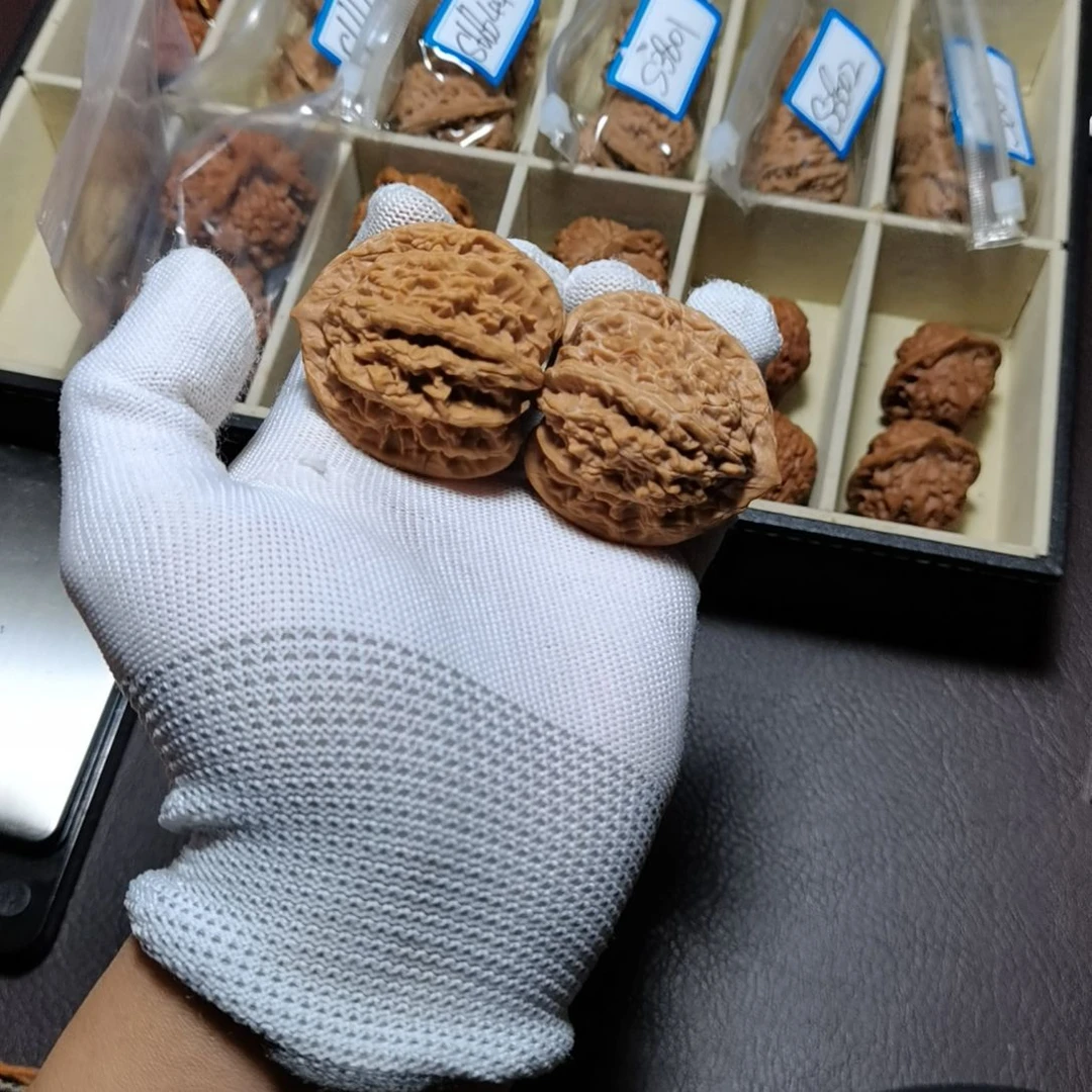 把件文玩核桃司物盘龙虎 4301