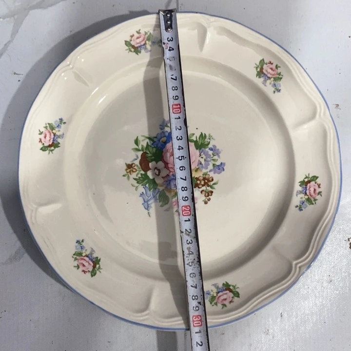 瓷片炻器瓷大花边盘