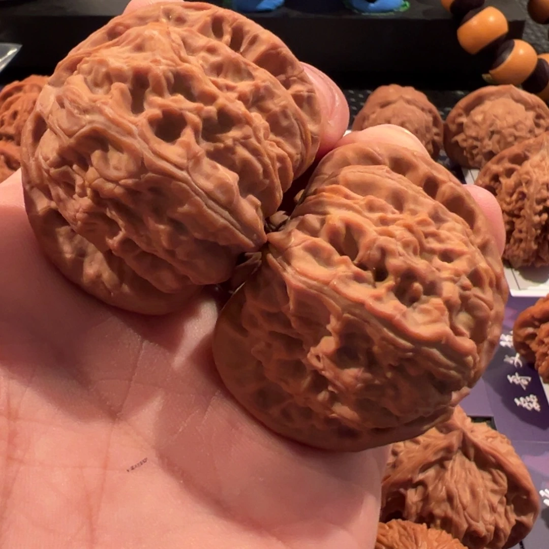 了***凡文玩核桃把件白狮子45尺寸