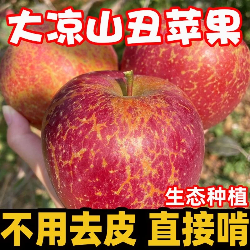 大凉山盐源丑苹果脆甜多汁应季水果