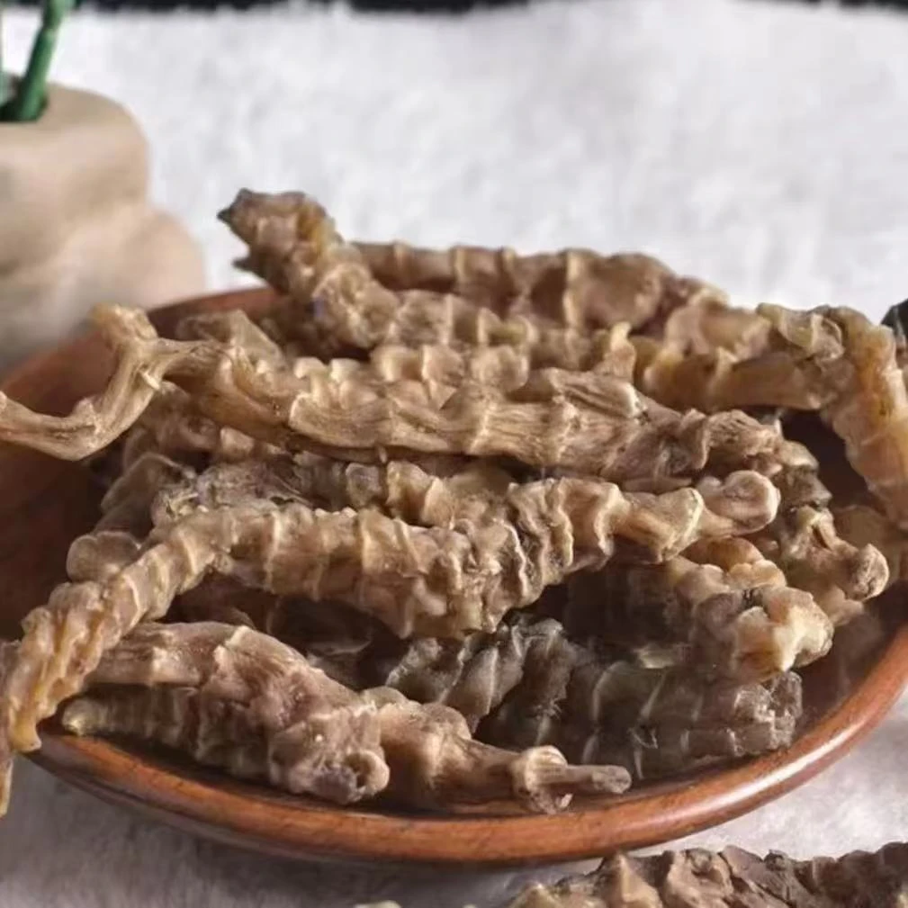 【静静收山货】龙/古/‘参 净含量500g起