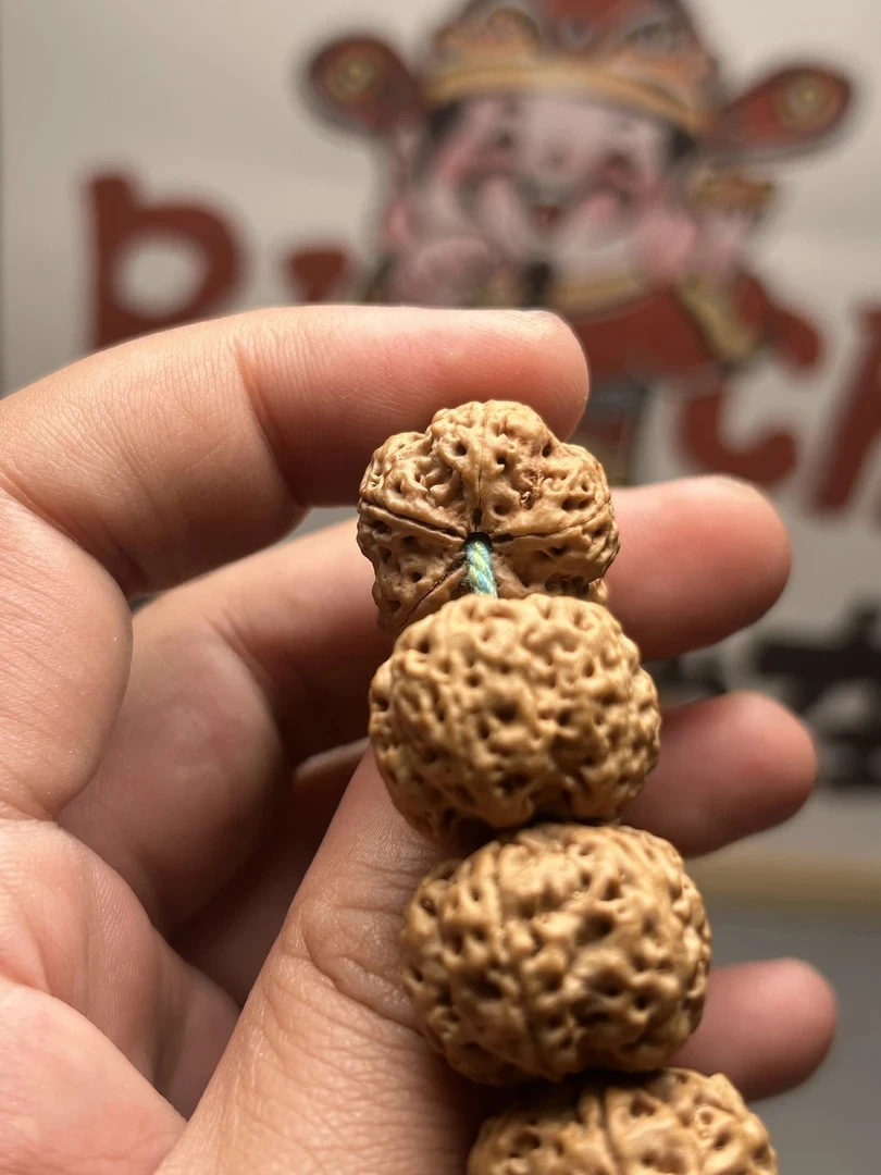 纯梁五面十龙高端梅花