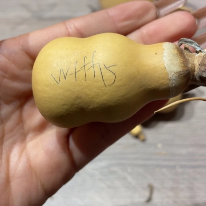 w**f粗嘴葫芦粗嘴葫芦