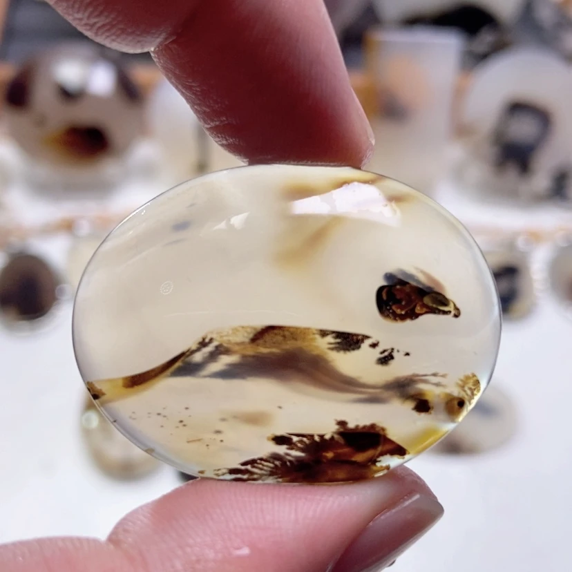 【闪购商品】玛瑙/玉髓颈饰未镶嵌