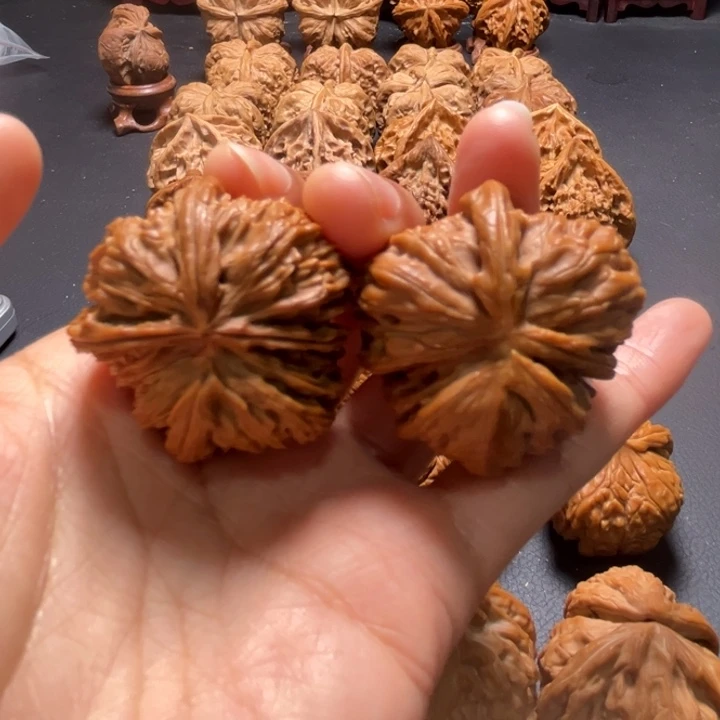 白狮子挂角37尺寸核桃哈哈哈哈哈