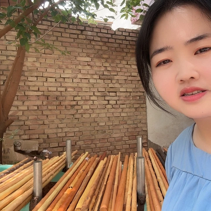 香榧木郑*红荀子