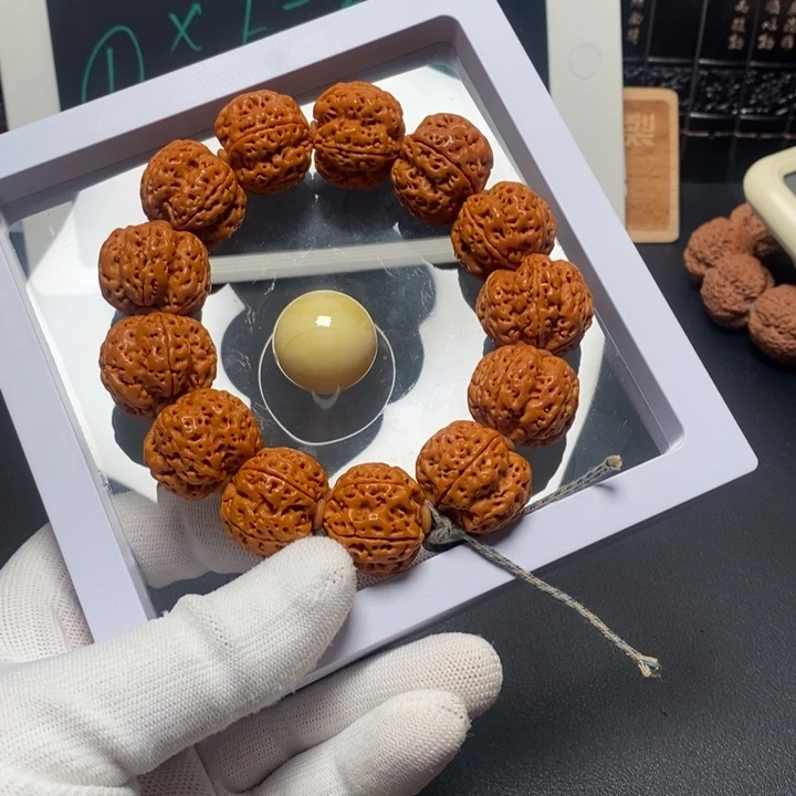 金刚菩提手串金刚菩提14号