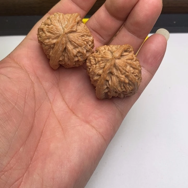 三角白狮子头36尺寸
