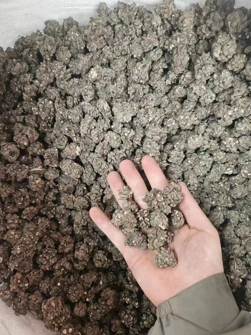 云南高山农家猫爪草